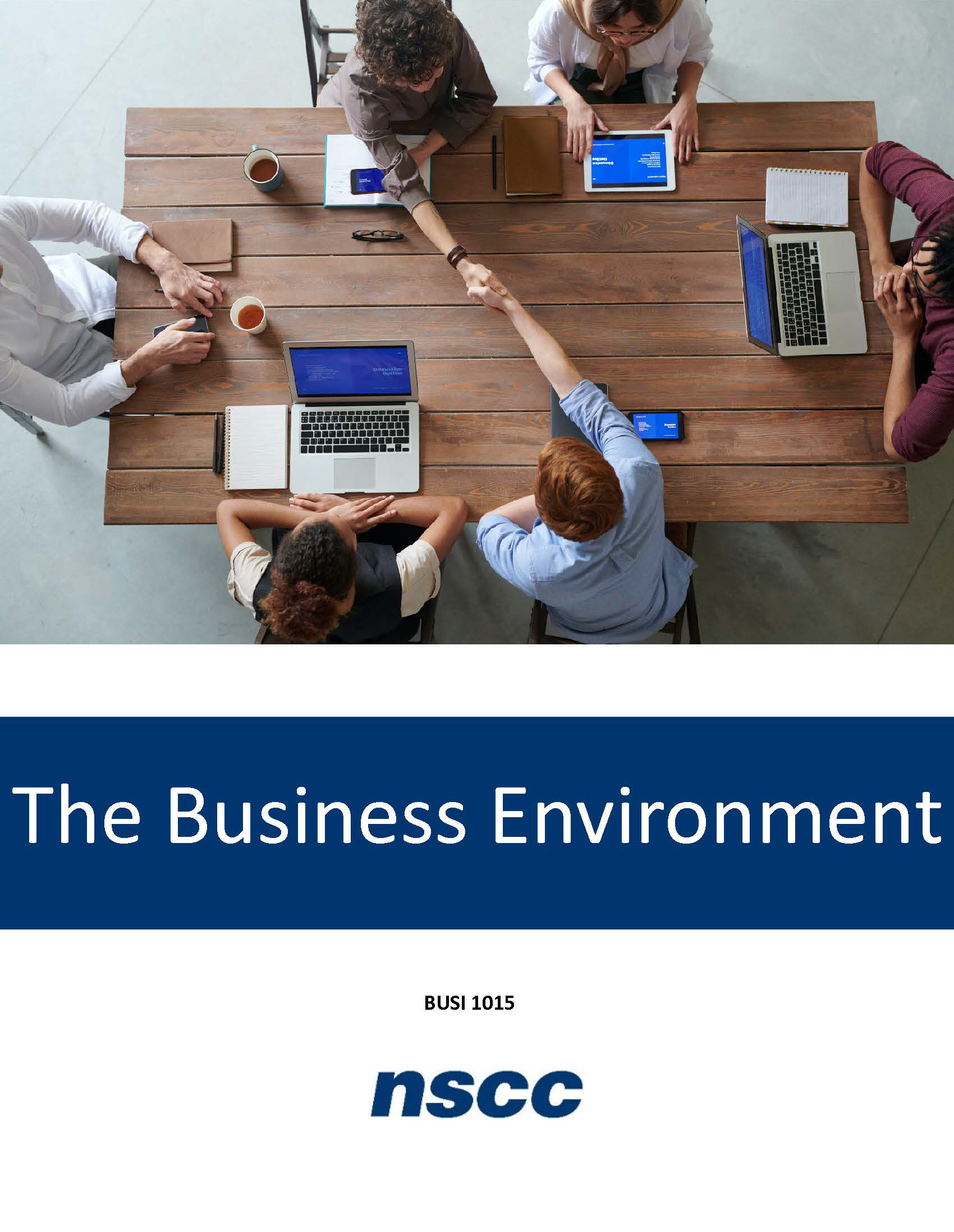 The Business Environment (BUSI 1015)