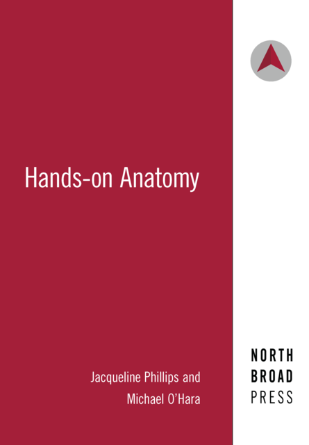 Hands-on Anatomy