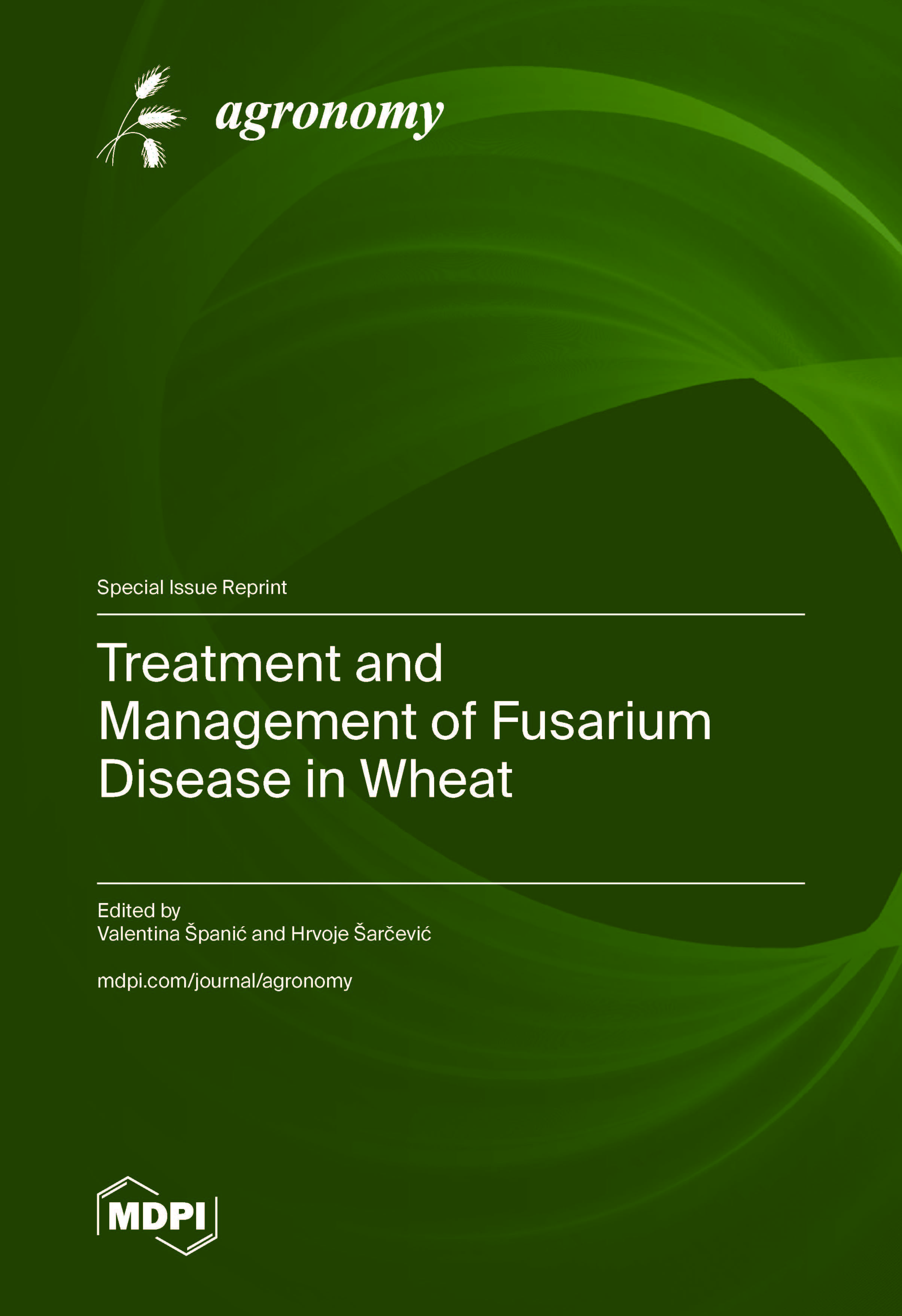 Treatment and Management of Fusarium Disease in Wheat