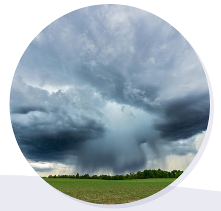 Instructional Materials - 6.3 Weather, Climate & Water Cycling Instructional Materials - 6.3 Weather, Climate & Water Cycling