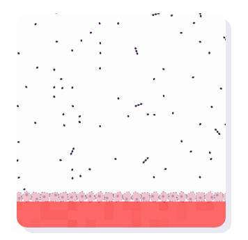 Simulation Library - Unit 7.3 L8 Inside our Bodies – Villi Absorption Simulation Library - Unit 7.3 L8 Inside our Bodies – Villi Absorption