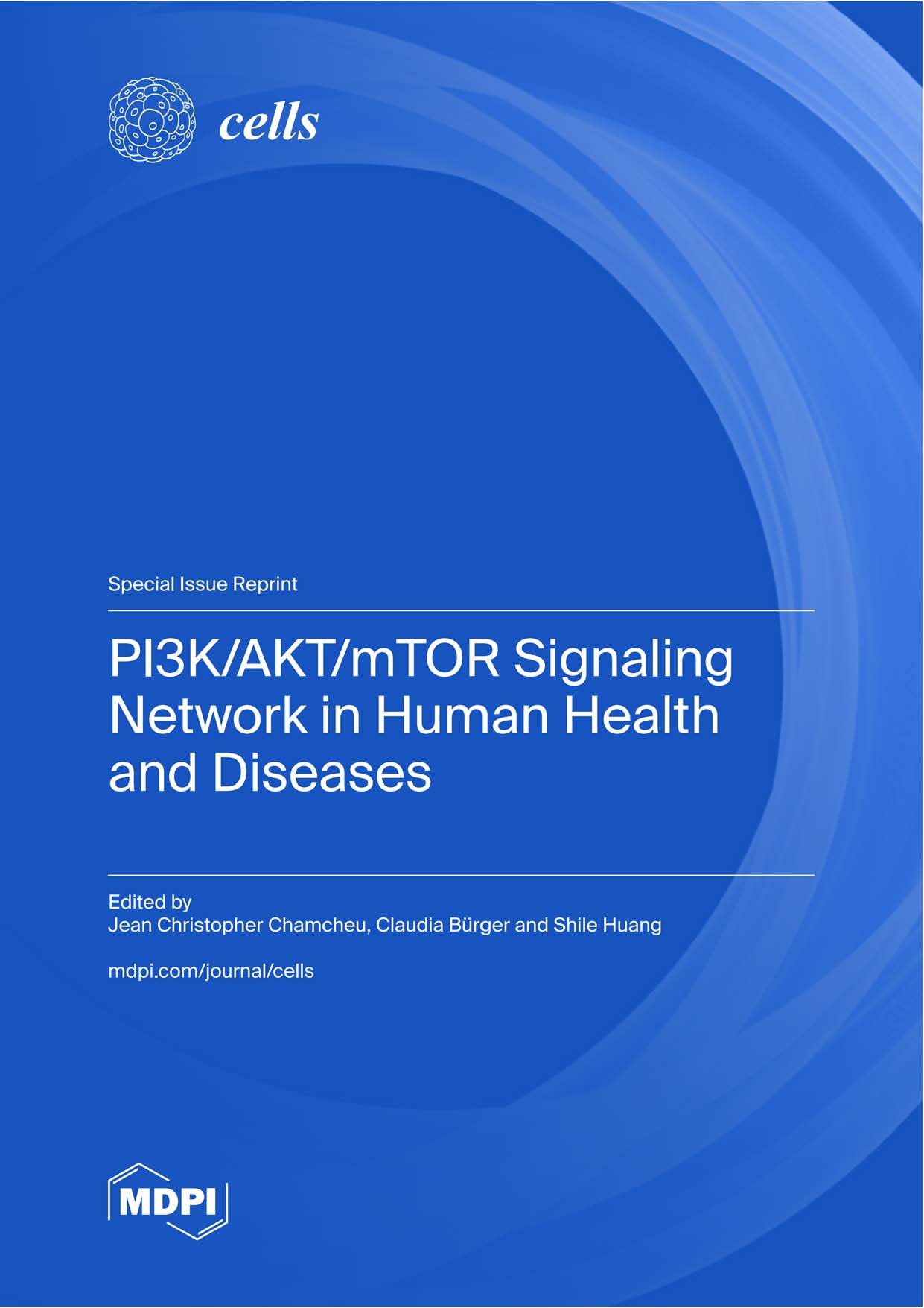 PI3K/AKT/mTOR Signaling Network in Human Health and Diseases