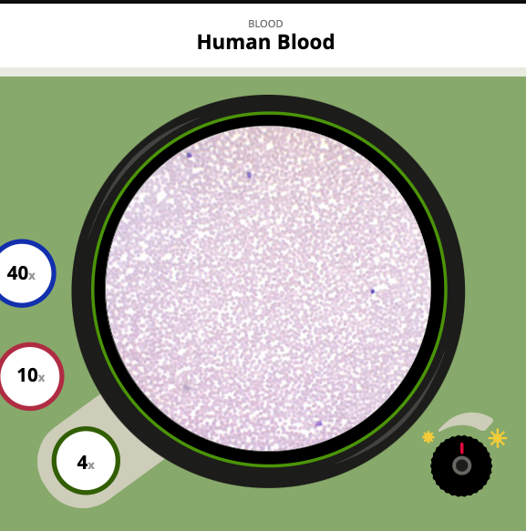 Middle School Simulations - Virtual Microscope Interactive – Cat & Human Blood Middle School Simulations - Virtual Microscope Interactive – Cat & Human Blood