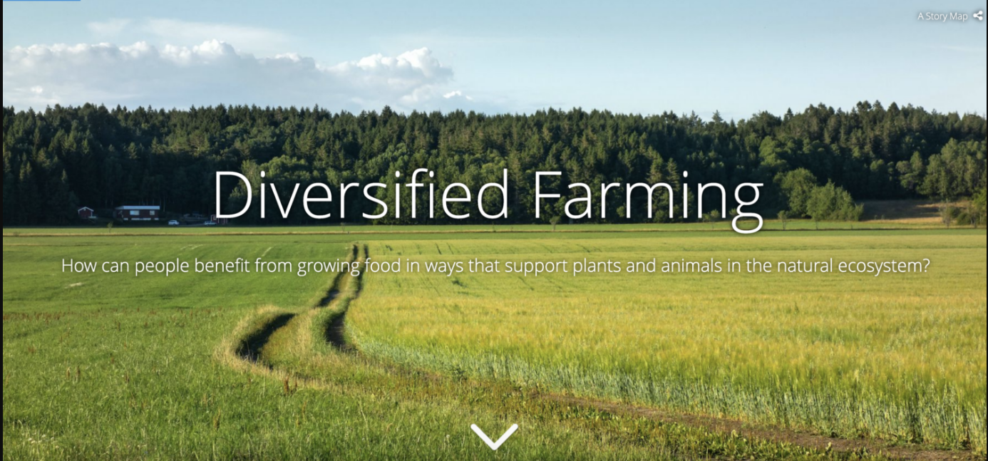 Middle School Simulations - Diversified Farming Storymap Middle School Simulations - Diversified Farming Storymap
