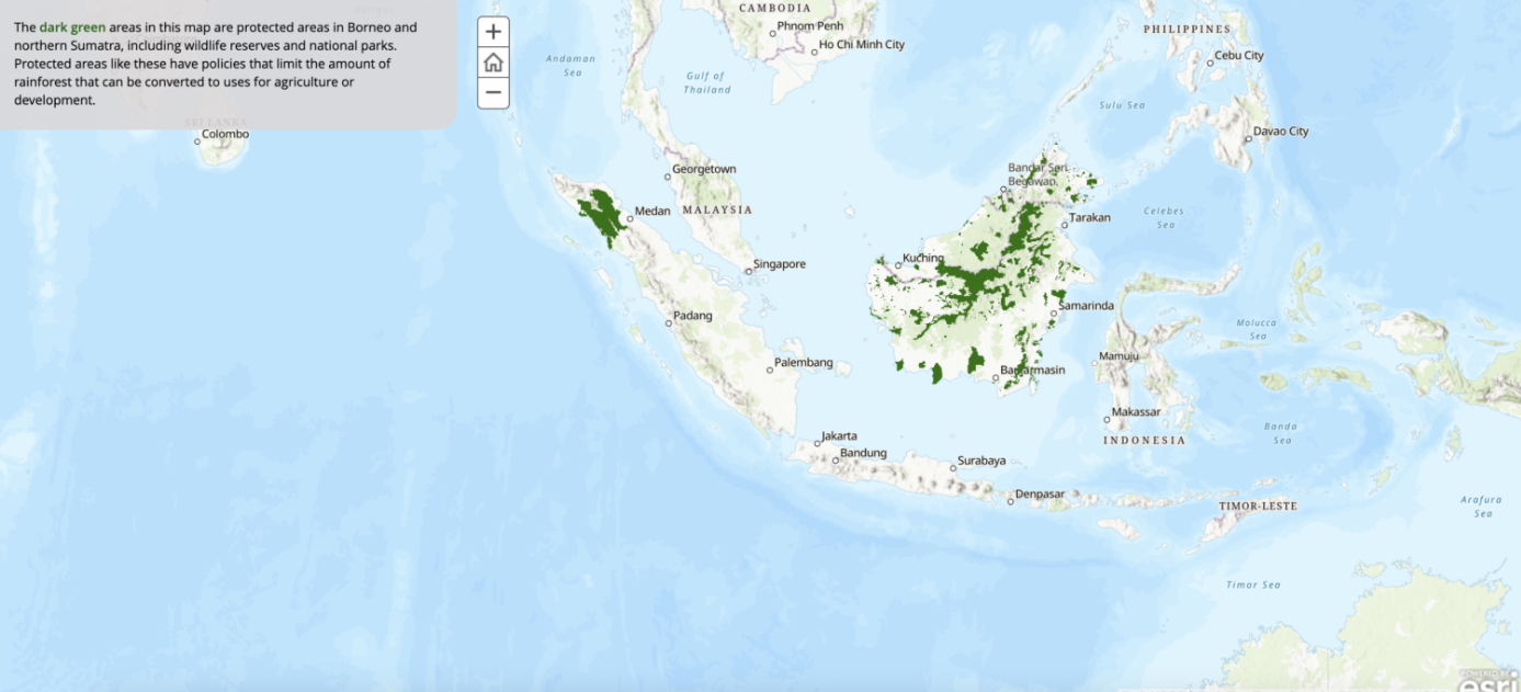 Middle School Simulations - Orangutans in Protected Areas StoryMap Middle School Simulations - Orangutans in Protected Areas StoryMap