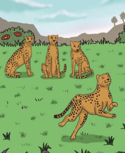 Chuck the Cheetah Chuck the Cheetah