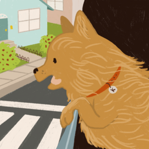 Kevin's Big Adventure