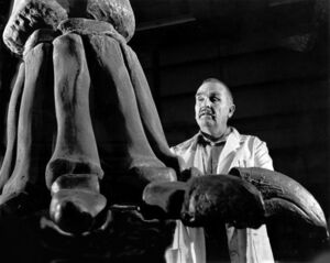 The Largest and Smallest Dinos Ever (Maybe) The Largest and Smallest Dinos Ever (Maybe)