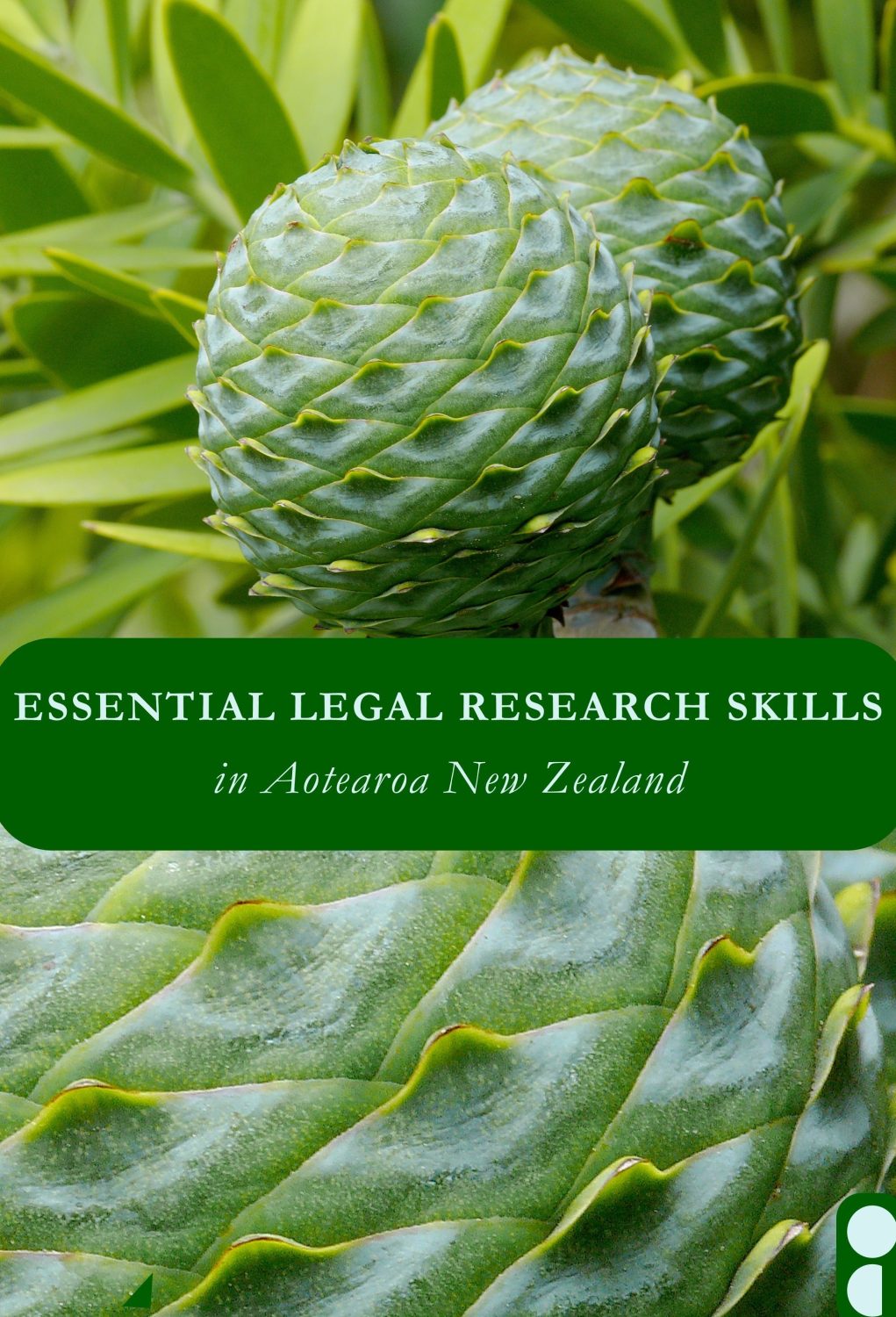 Essential Legal Research Skills in Aotearoa New Zealand